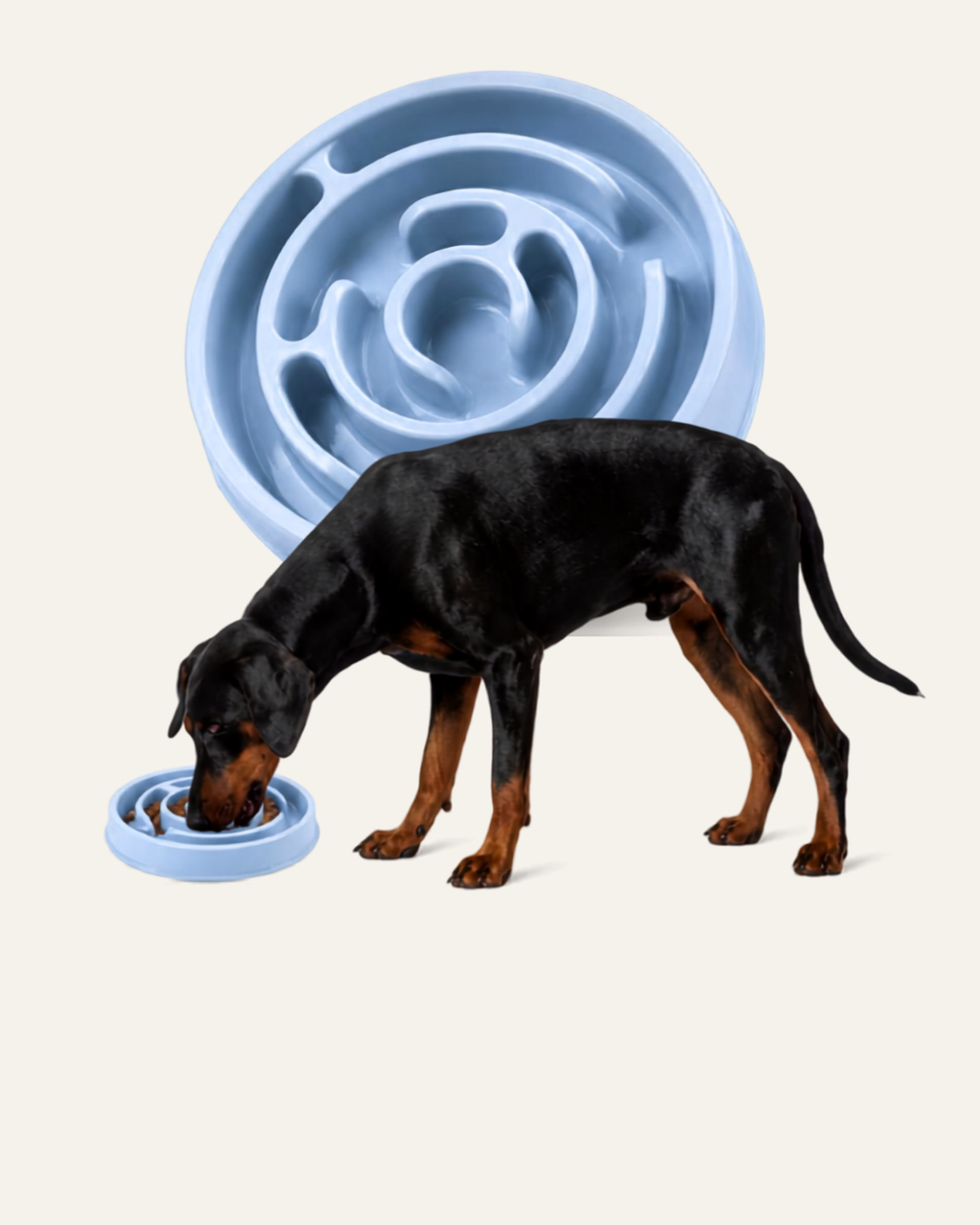 Macaron Slow Bowl – Ciotola Slow Feeder per cani